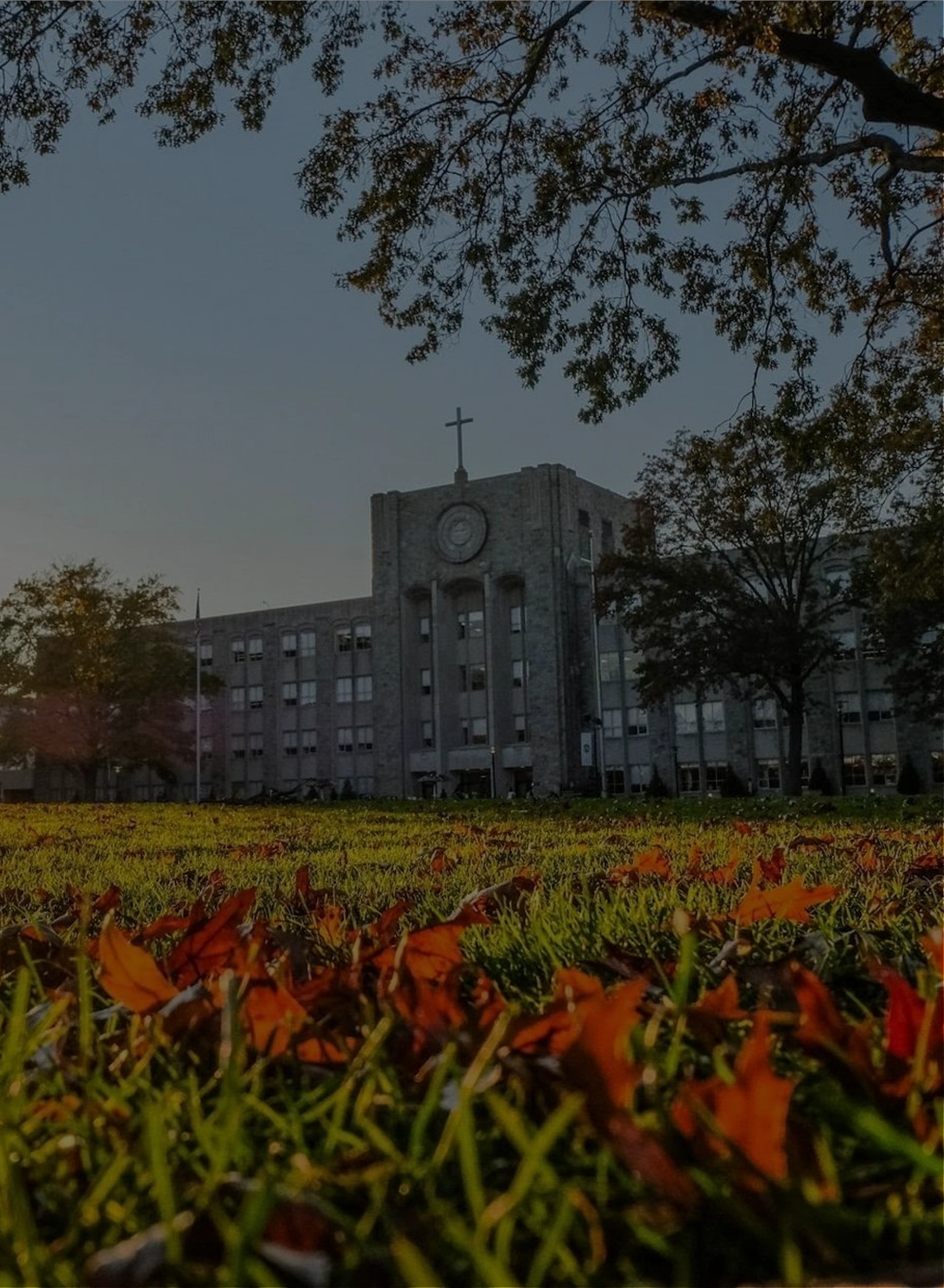 St. John's University