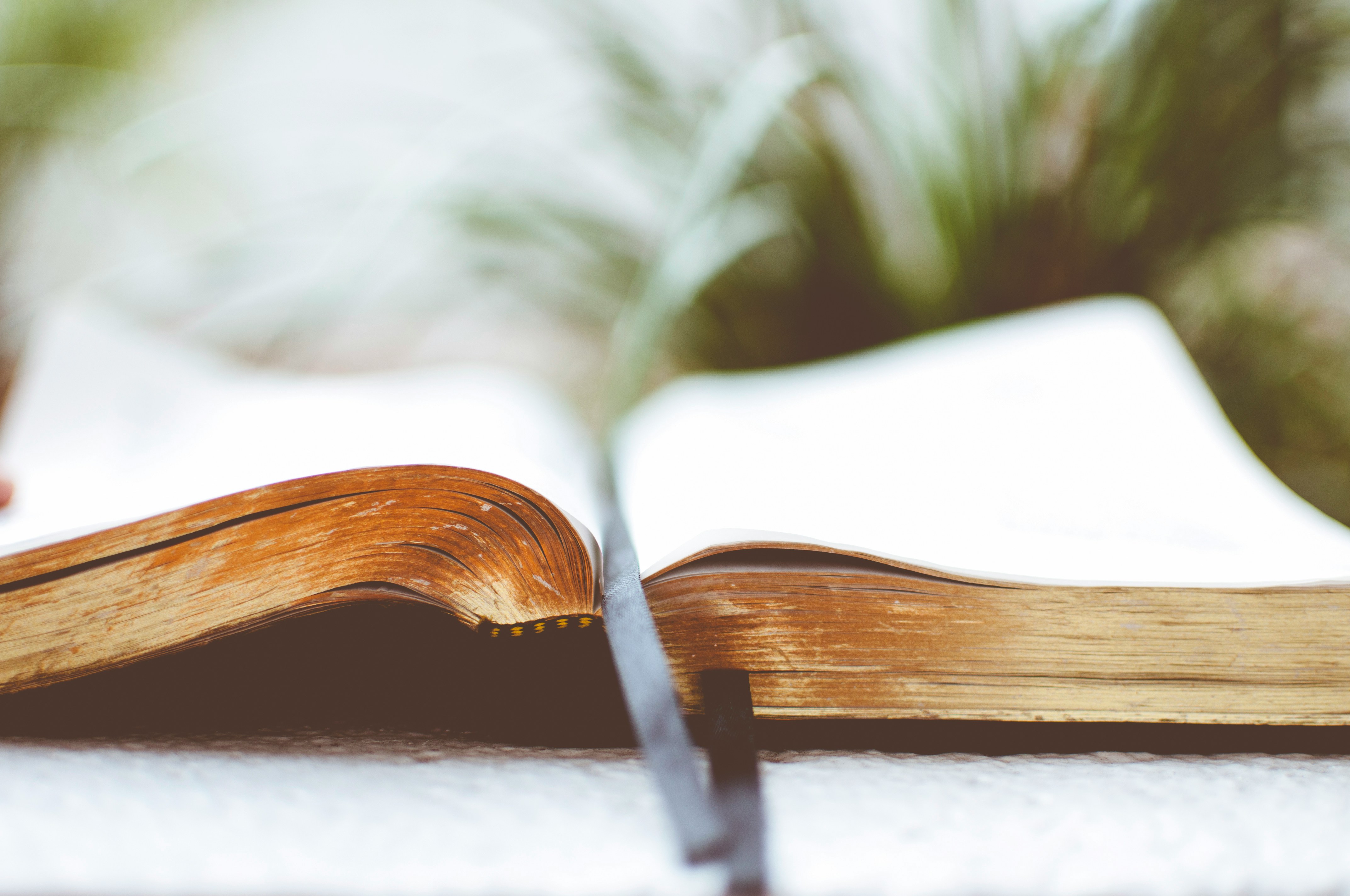 Bibel