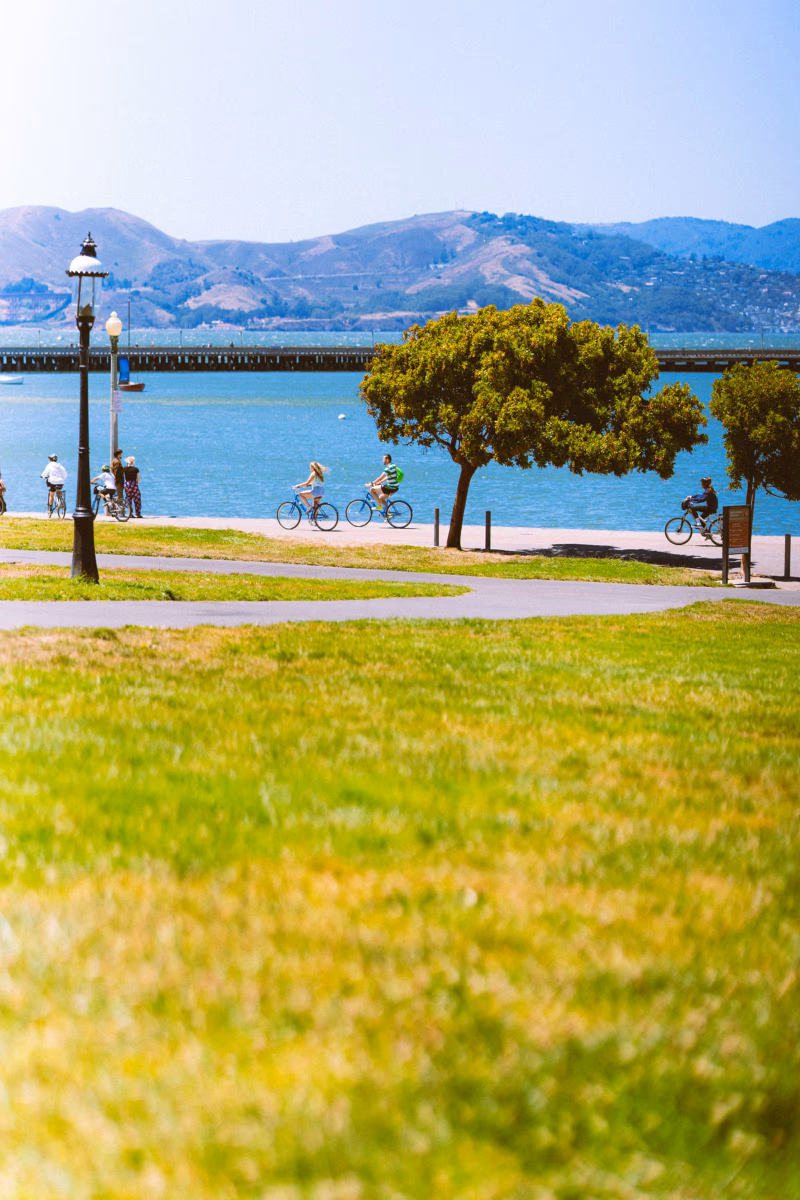 People cycling and walking along a waterfront path with green grass, trees, and mountains in the background.