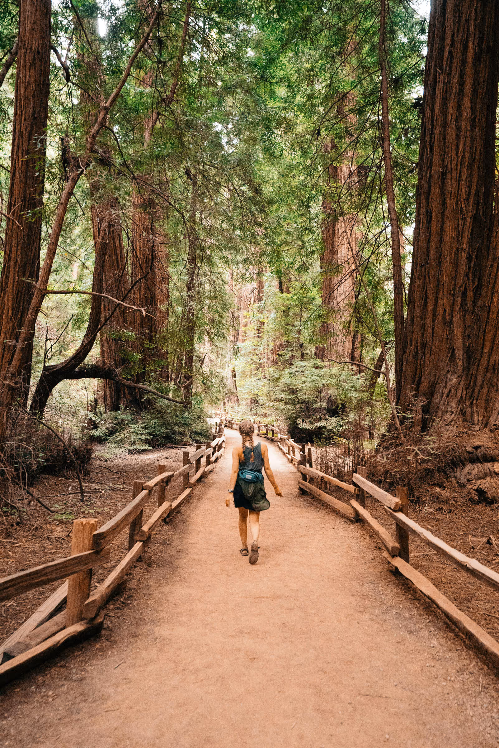 Person with braided hair walking down a dirt path surrounded by tall trees and wooden fences in a forest.