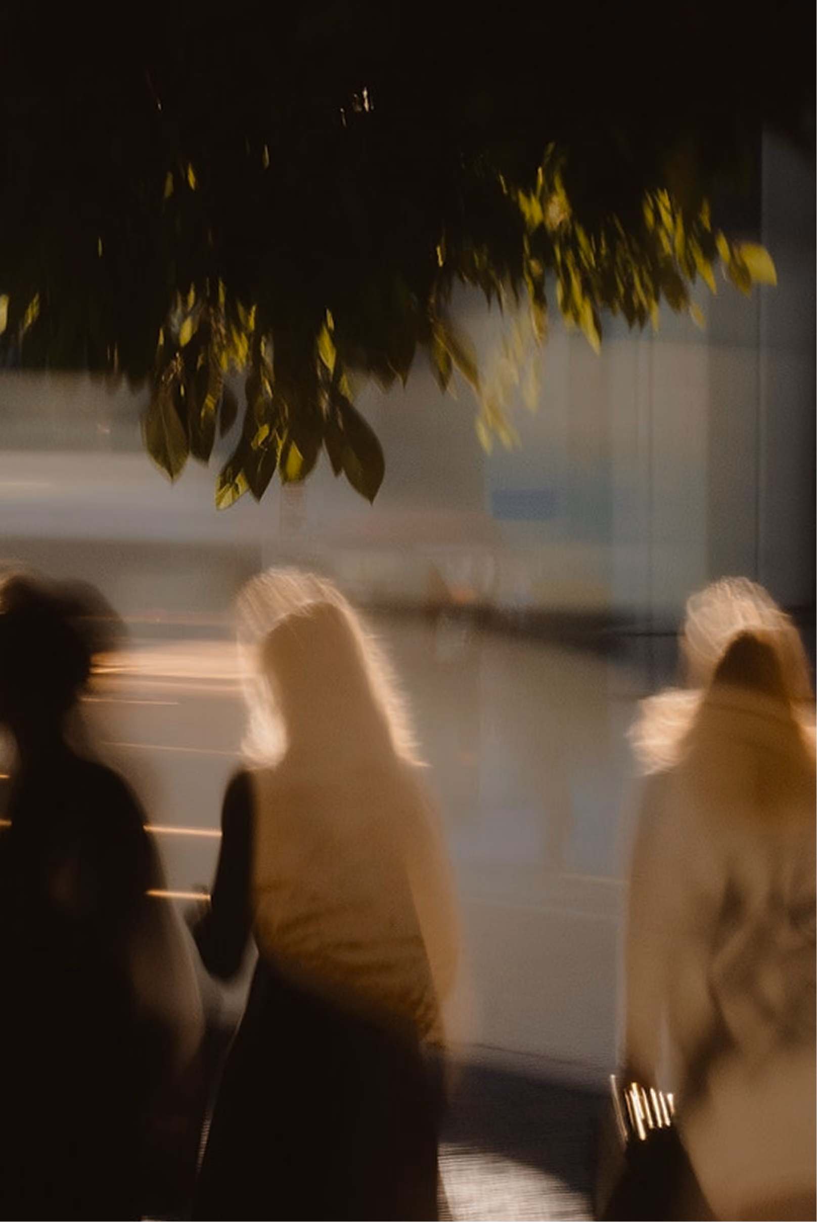 Three blurred people walking under leaves, with sunlight creating glowing outlines around them.