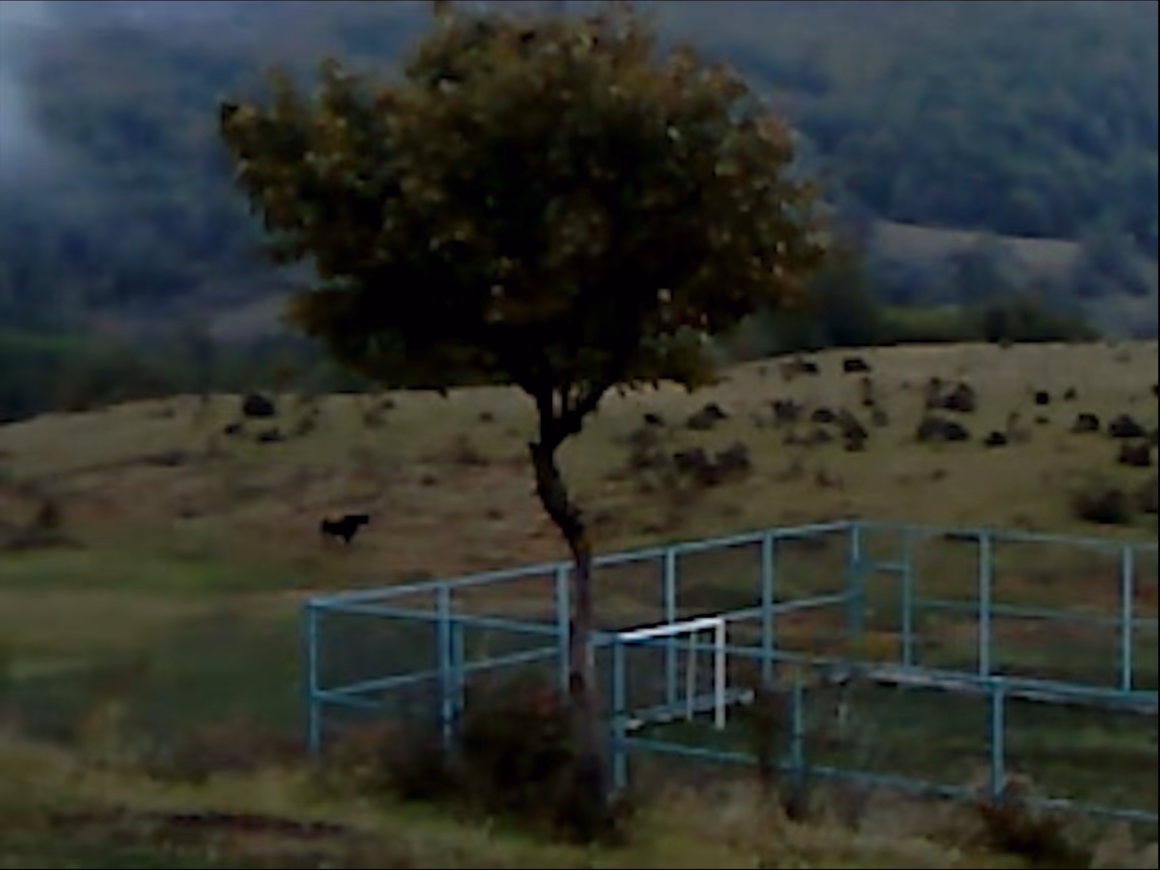 Films with English Subtitles on Human Rights Film Festival 