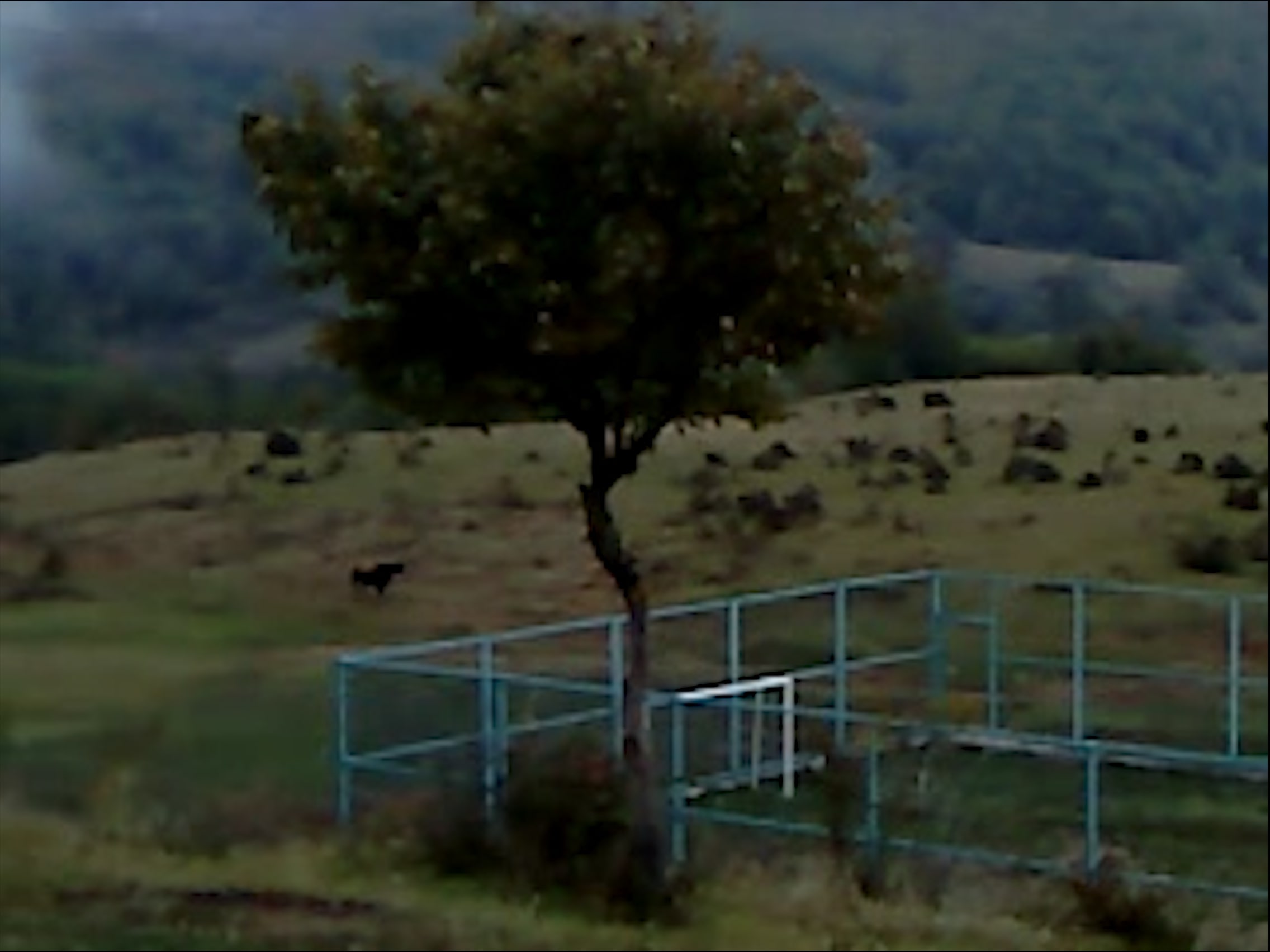 Films with English Subtitles on Human Rights Film Festival 