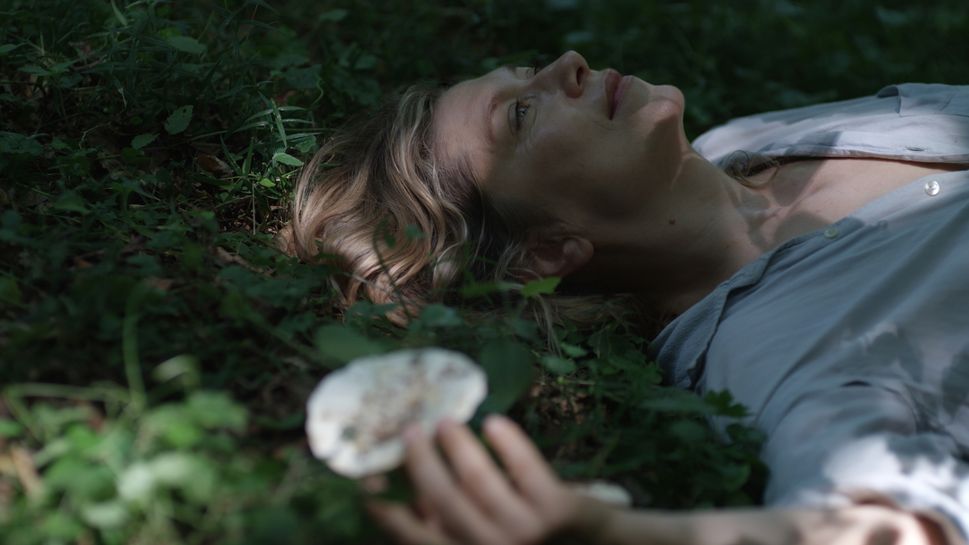 Sedam regionalnih art housea filmova na festivalu 