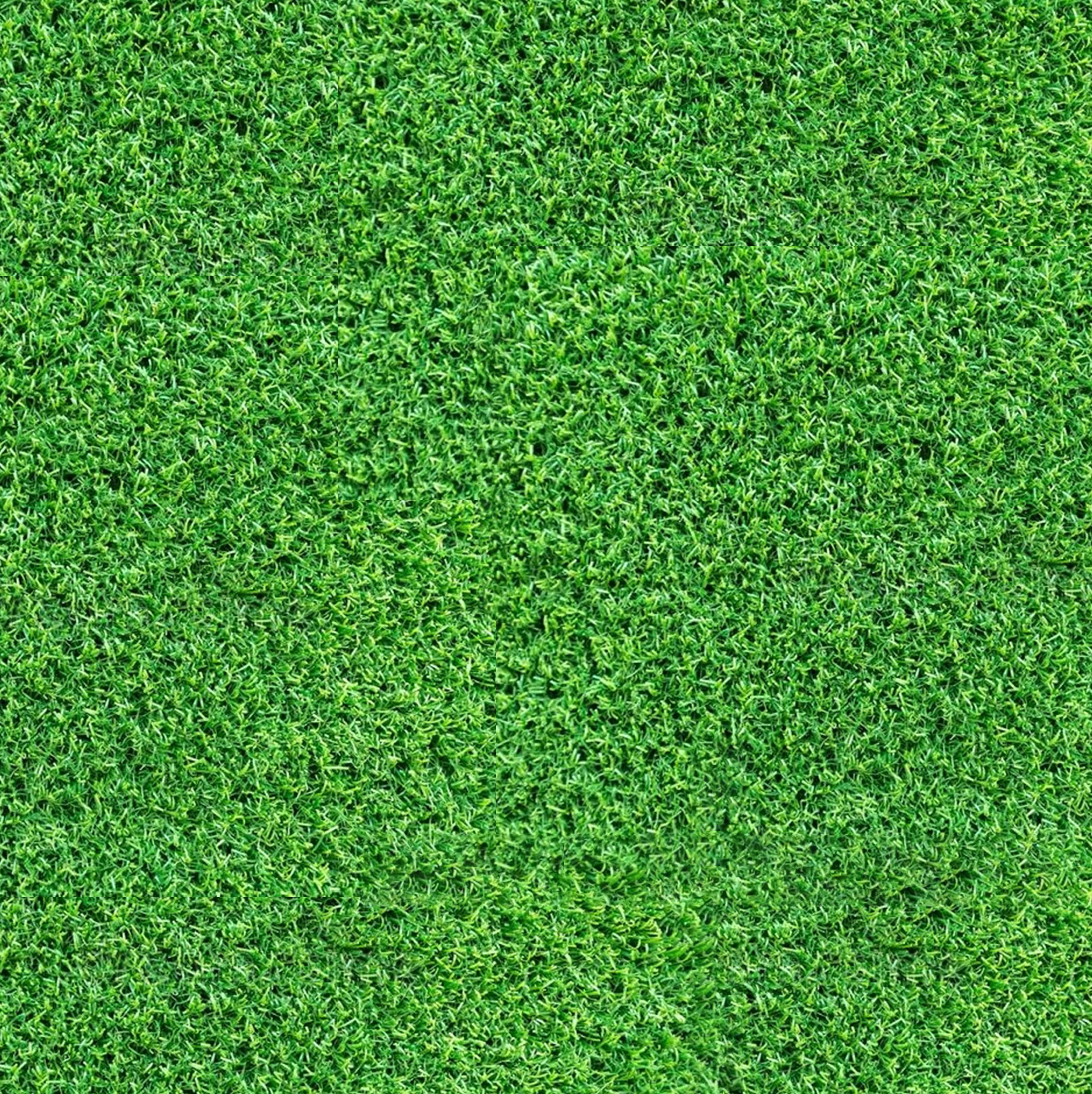 Grüner gepflegter Rasen Joulee Förderservice Unsere Vision, Förderung die jeder versteht für Nachhaltigkeit