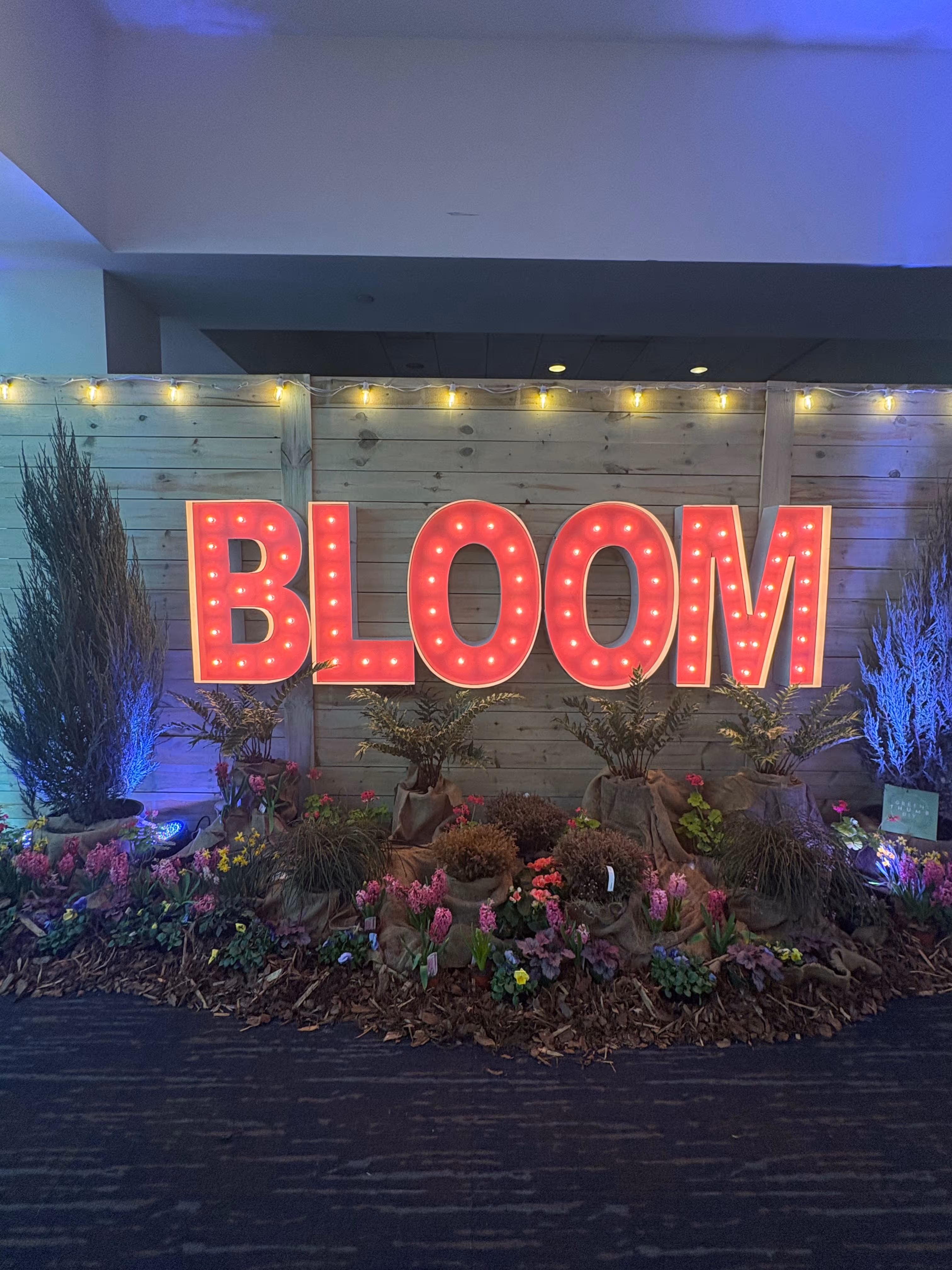Lit letters spelling HVMS in front of silver and blue balloons at Hardin Valley Middle School with mural stars and music notes on the wall.