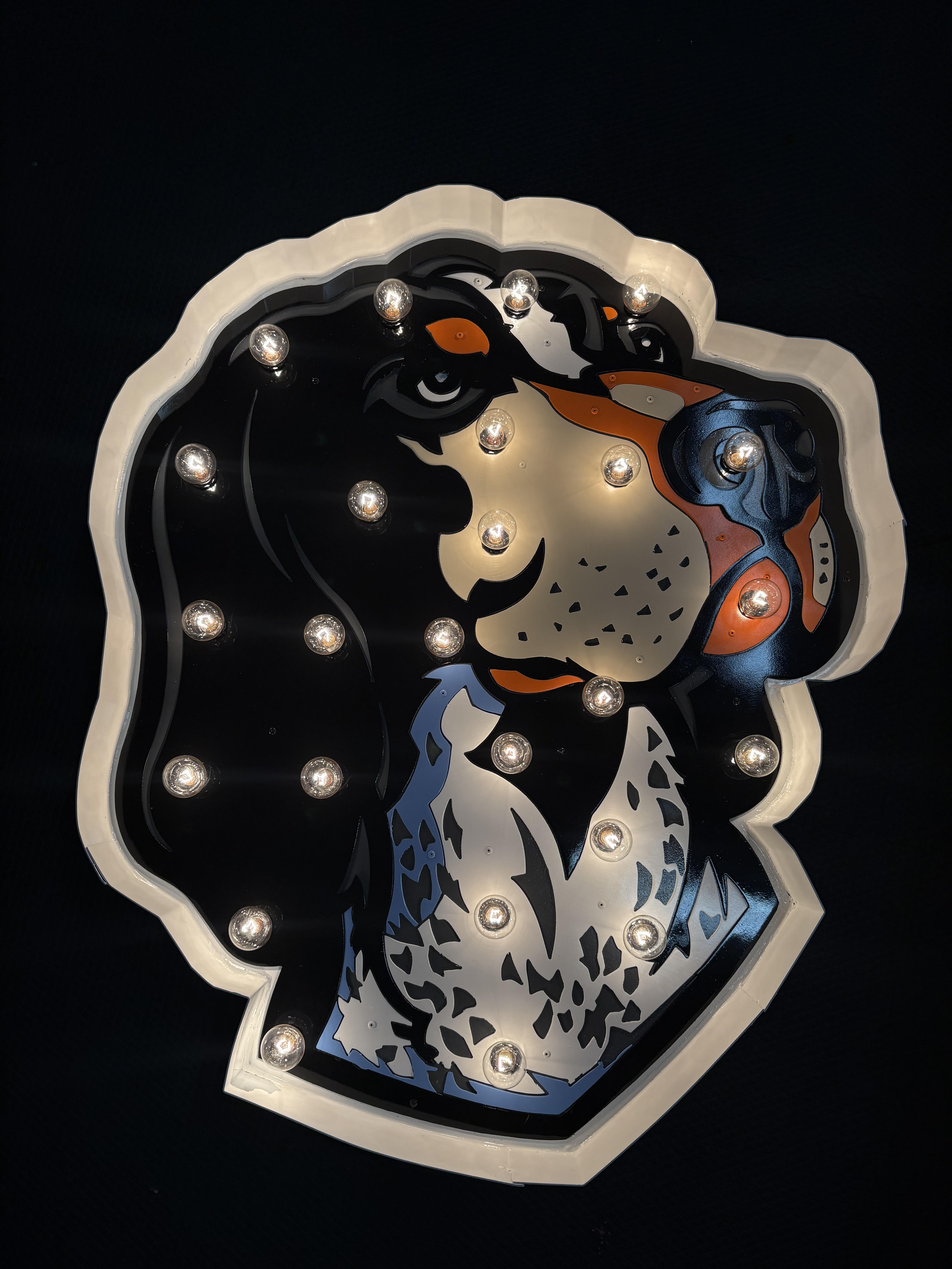 Lit letters spelling HVMS in front of silver and blue balloons at Hardin Valley Middle School with mural stars and music notes on the wall.