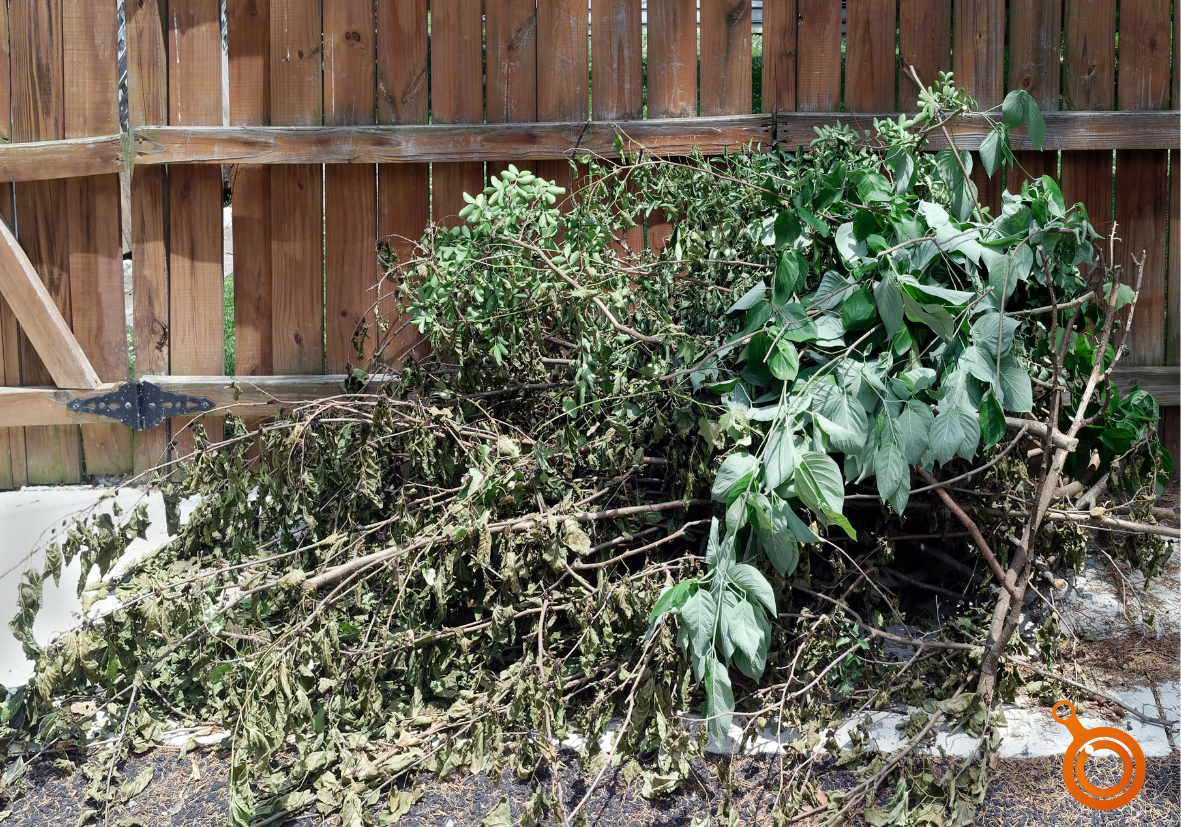 Un tas de branchages et feuilles (déchets verts)