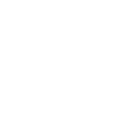 Icon panier blanc