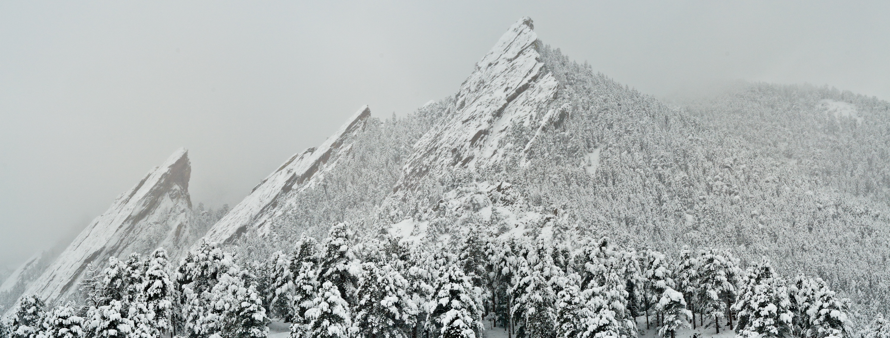 Get to Know Jen Lessick, Senior Director of Client Operations