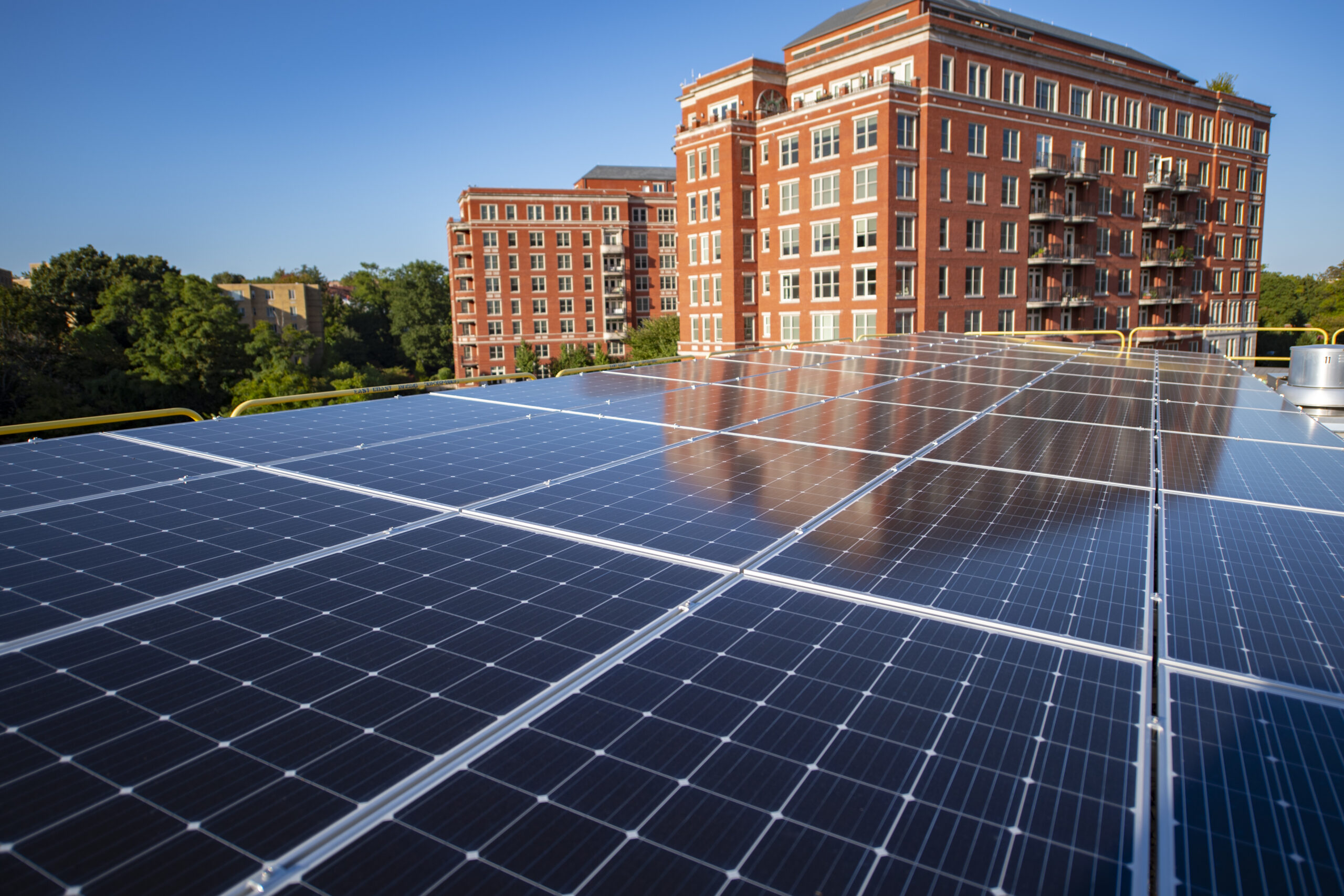 Black Bear Energy and Evergrow Lead New Wave of Commercial Real Estate Solar Tax