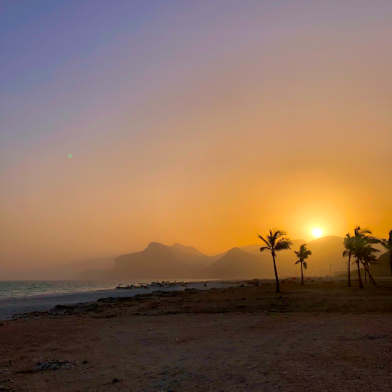 Sunset over a beach with palm trees and distant mountains under a clear sky.