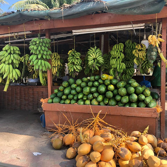 Outdoor market stall with bunches of green bananas hanging and a large pile of green papayas, with yellow coconuts in front on the ground.
