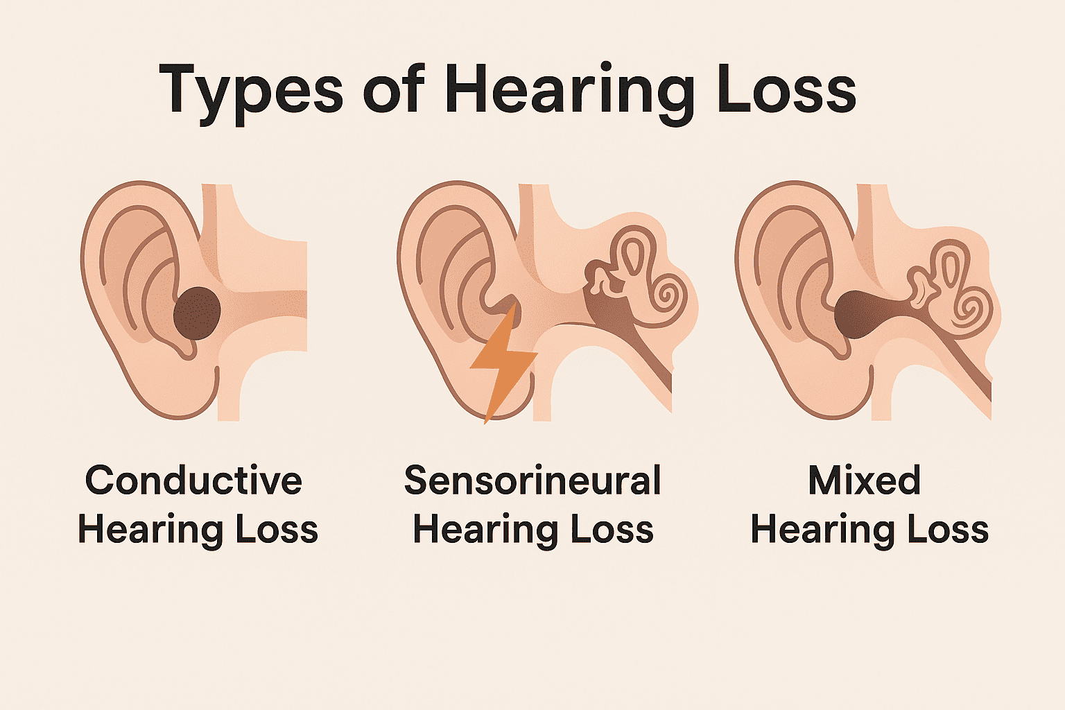 Illustration for this Hazelwood Hearcare guide