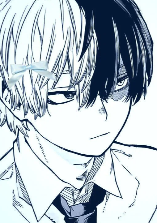 Black and white manga-style drawing of a young person with half white, half black hair wearing a collared shirt and tie, with a small bow on the white hair side.