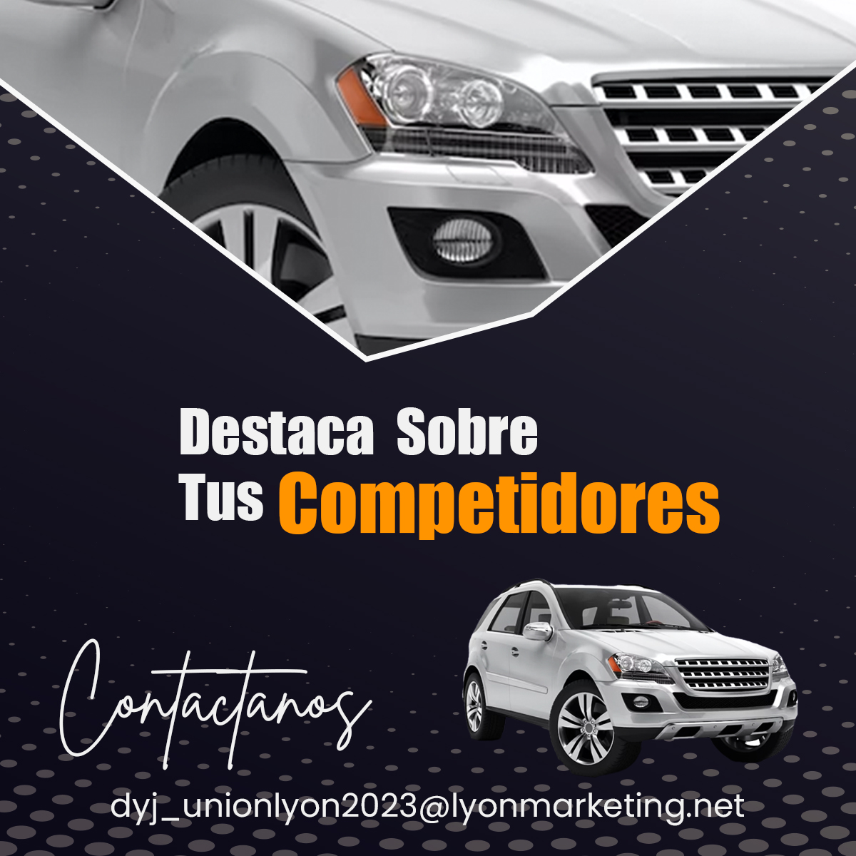 Lyon Marketing ad post 2