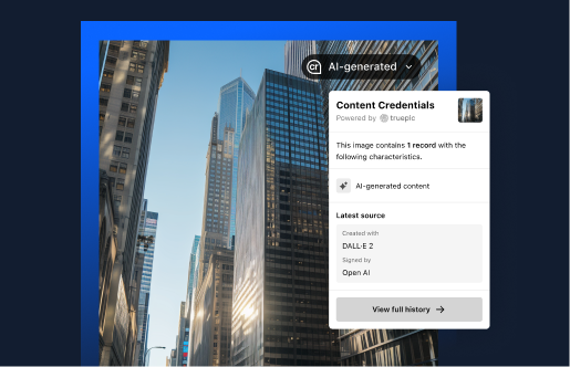 display C2PA example