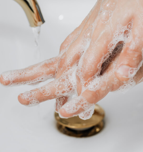 The Vert soap