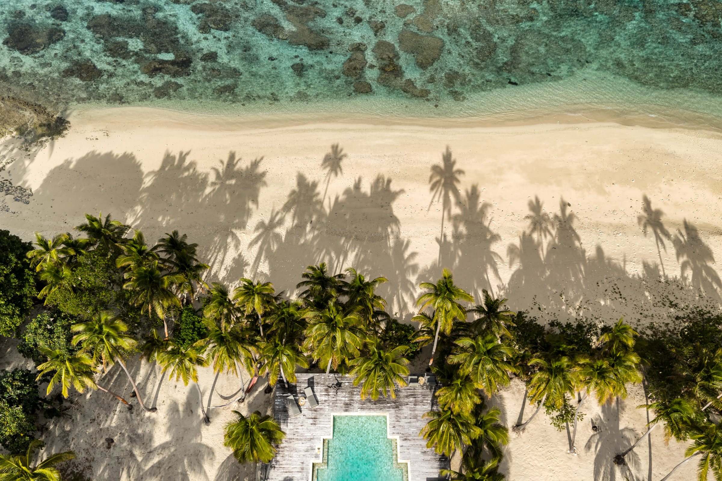 Overhead view of palm shadows across the beach, the pool deck, and the coral reef beyond