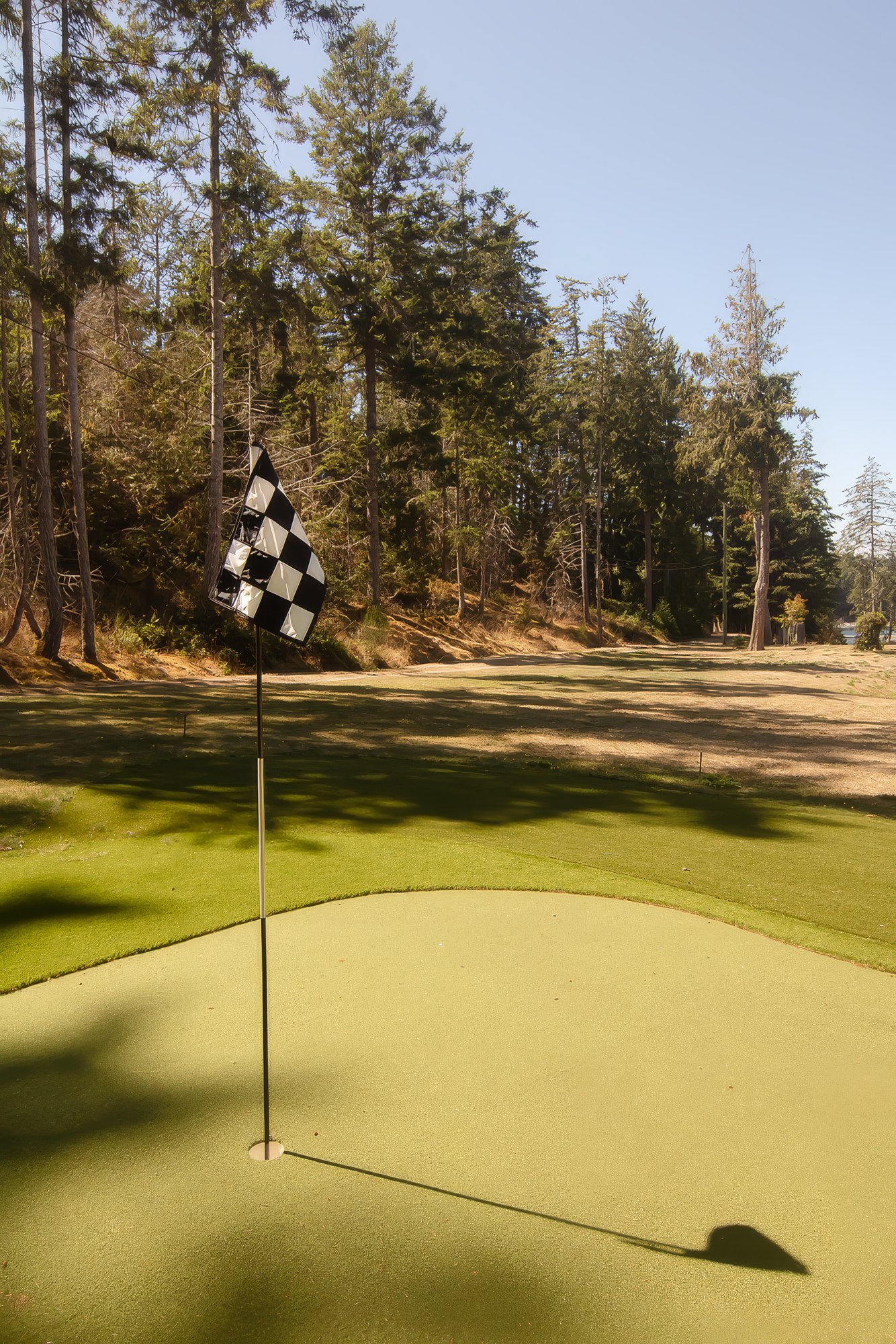 A checkered flag on one of the estate's putting greens, edged by tall firs