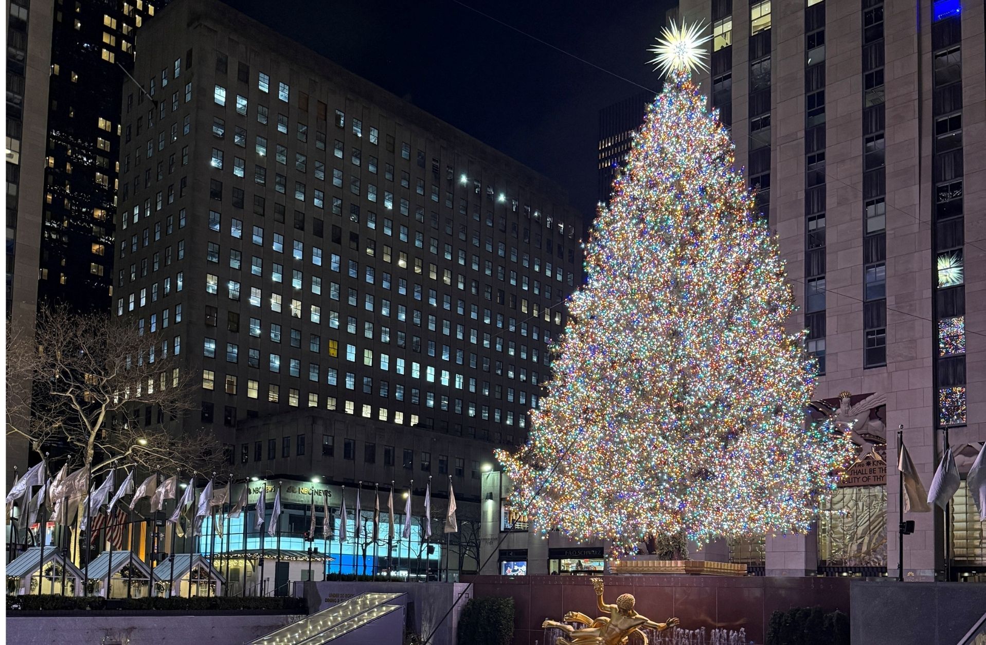 The Rockefeller Center Christmas Tree