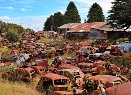 'Horopito Royal Enfield Classic' 