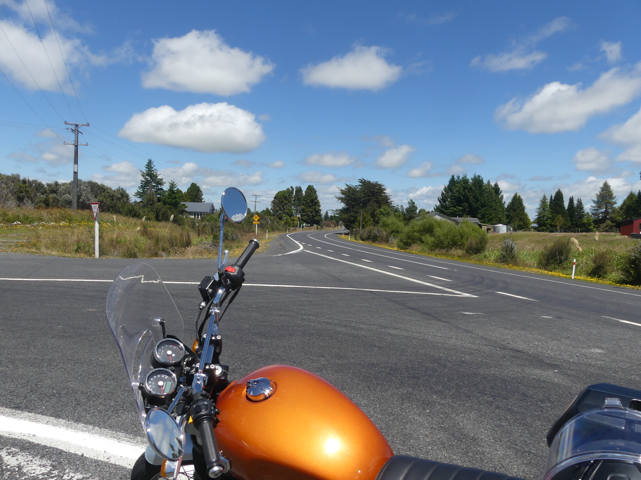 'Horopito Classic' Day - Jan 8th 