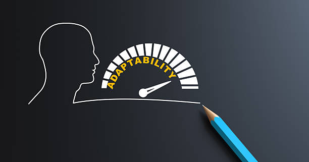 Enterprise Skills Assessment: Scale Without Risk
