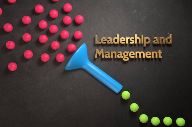 Leadership in project management: Finding True Leaders