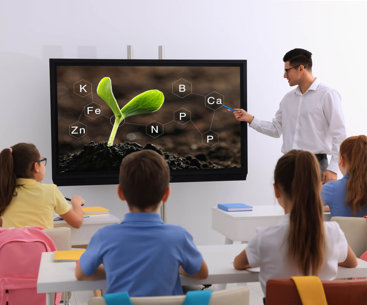 A teacher engaging the class in a discussion about plants