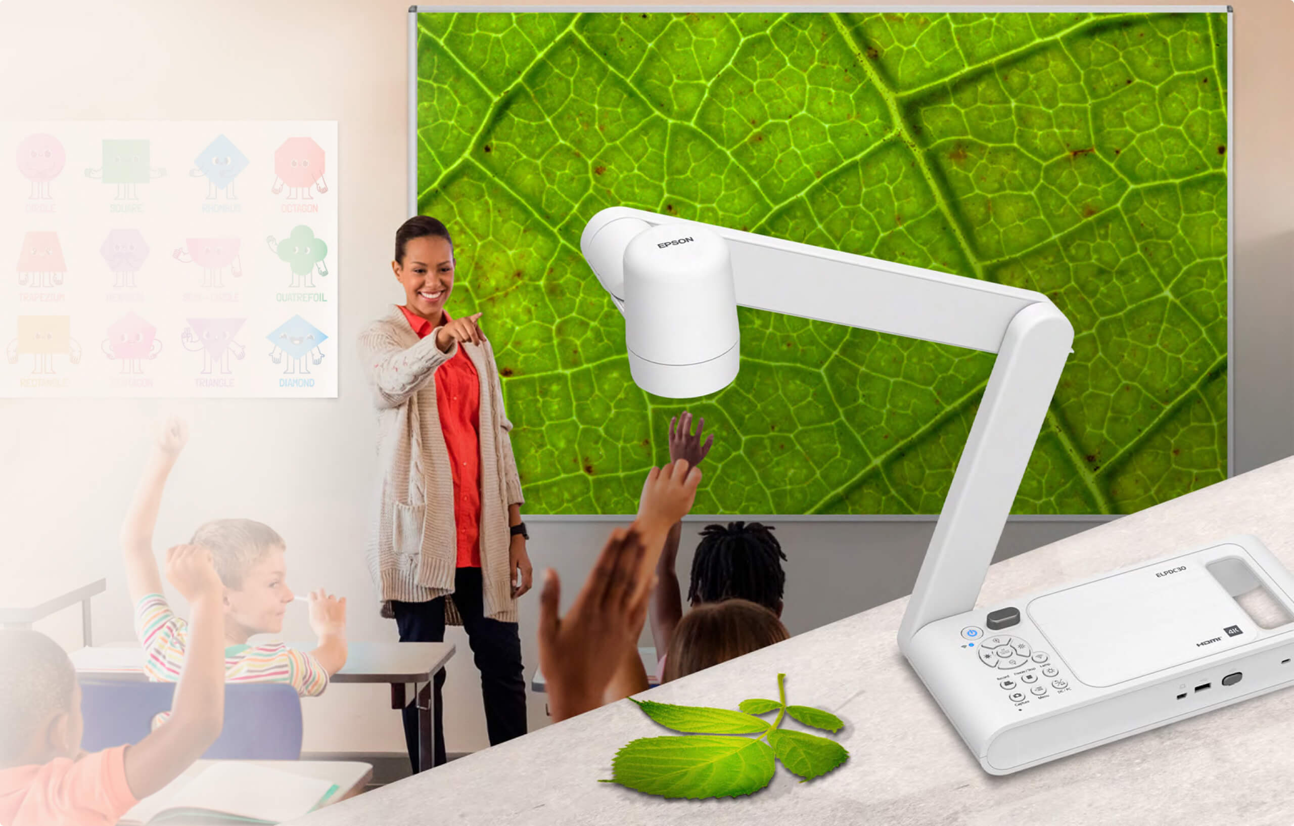 A teacher engaging her class. The screen on the side features the characteristics of a leaf, magnified by the document camera