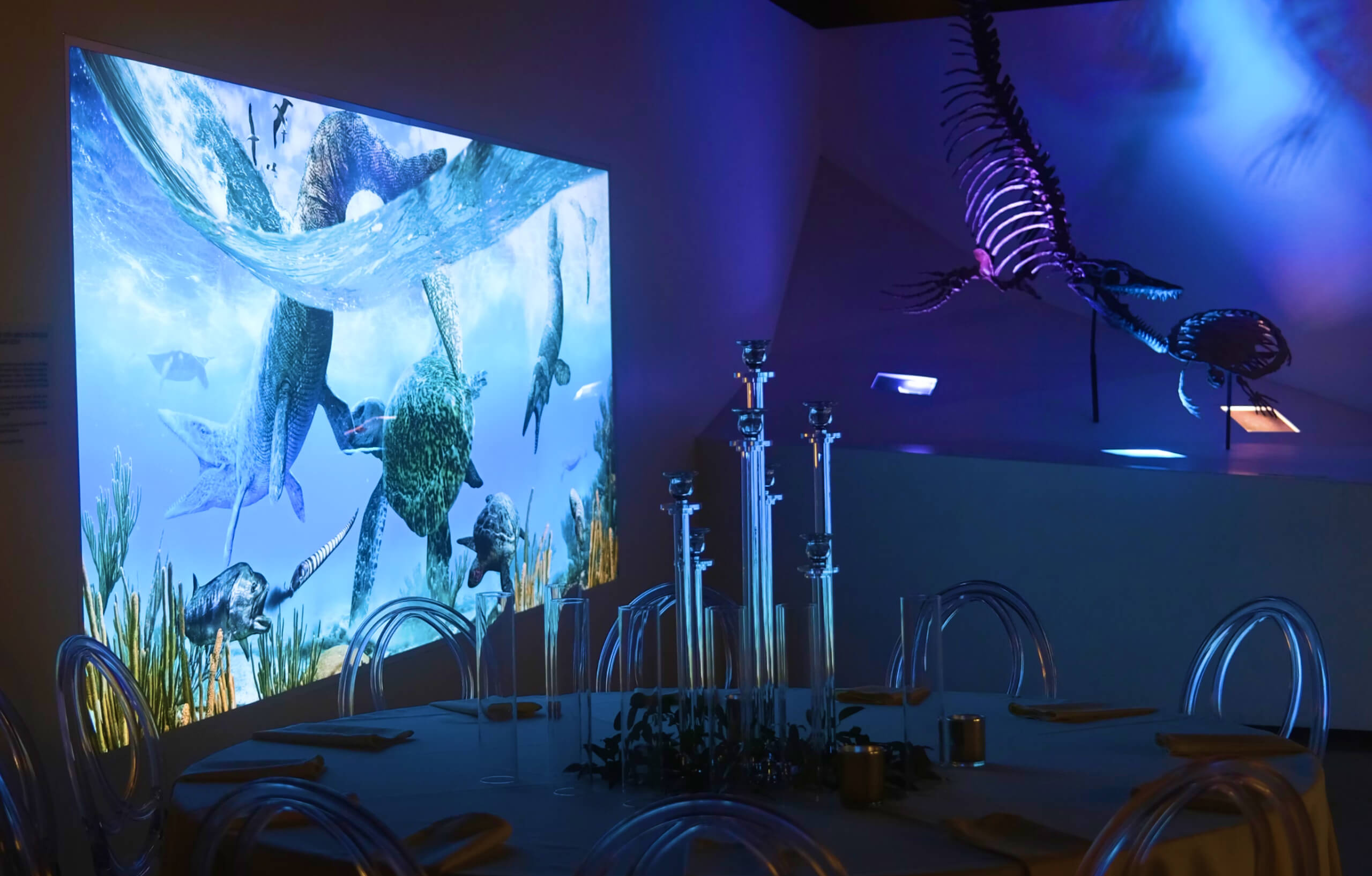 A projected image of underwater dinosaurs