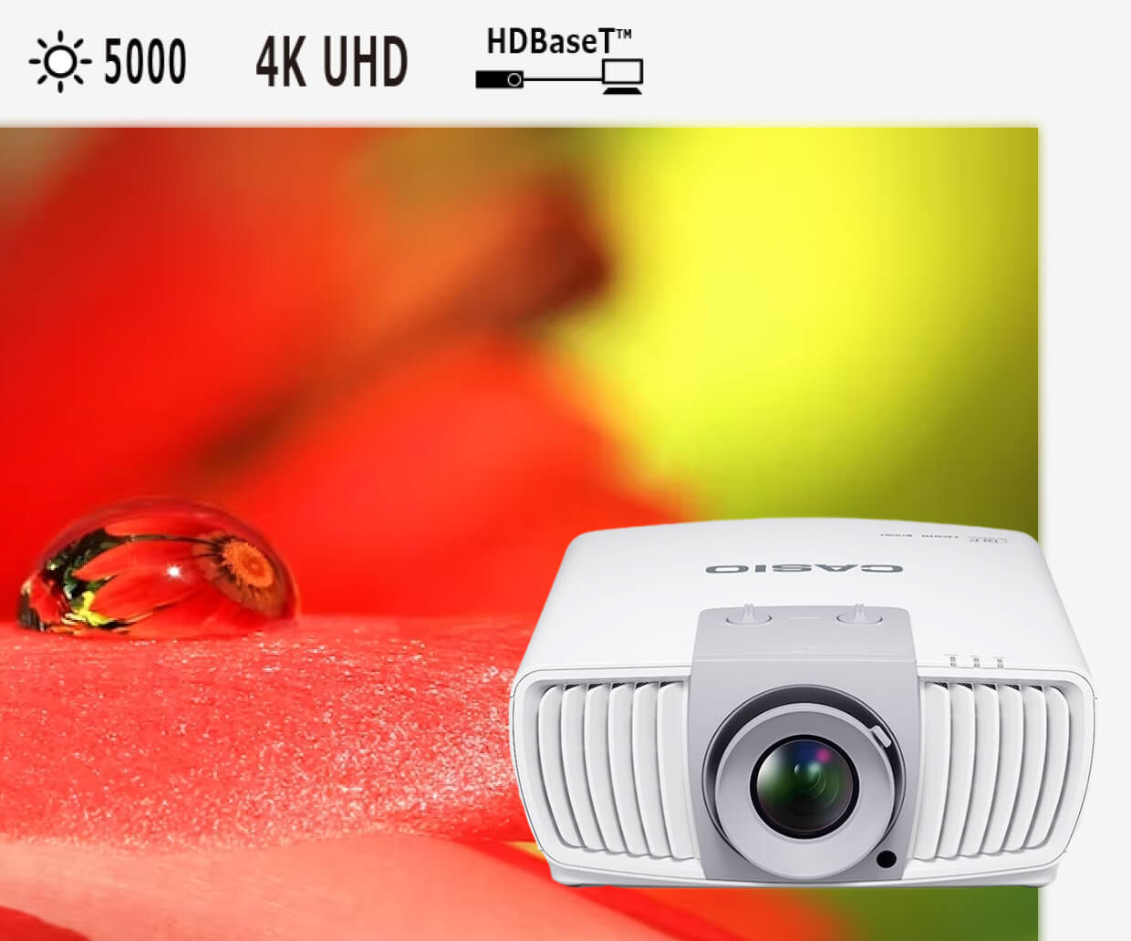 A white projector in front of a red flower