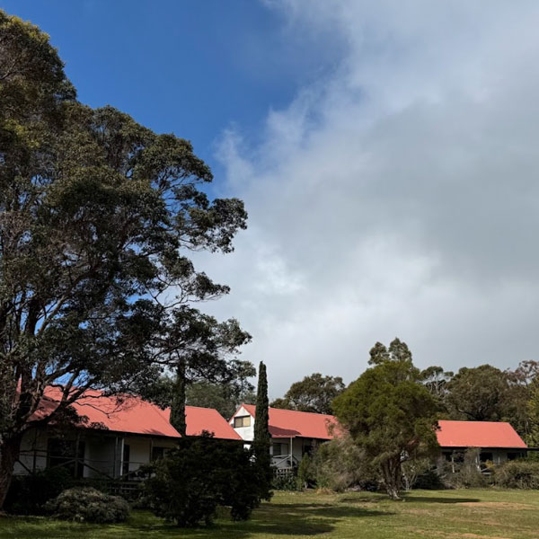 family cottages room booking for wellness retreat