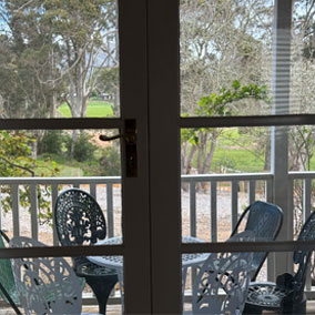 outdoor view for fig tree family cottage