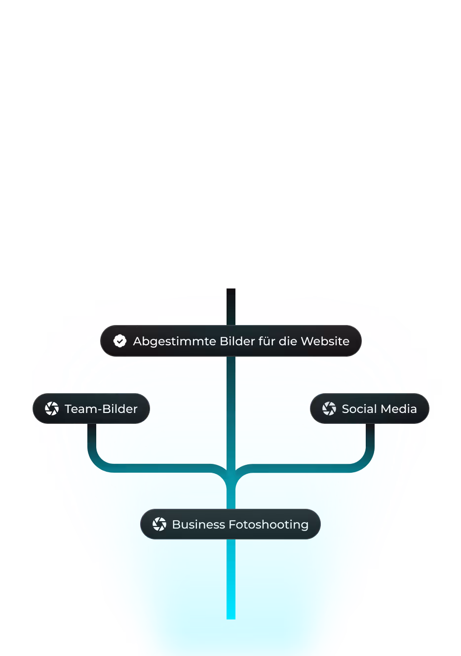 Diagramm mit Abgestimmte Bilder für Website, Team-Bilder, Social Media und Business Fotoshooting.