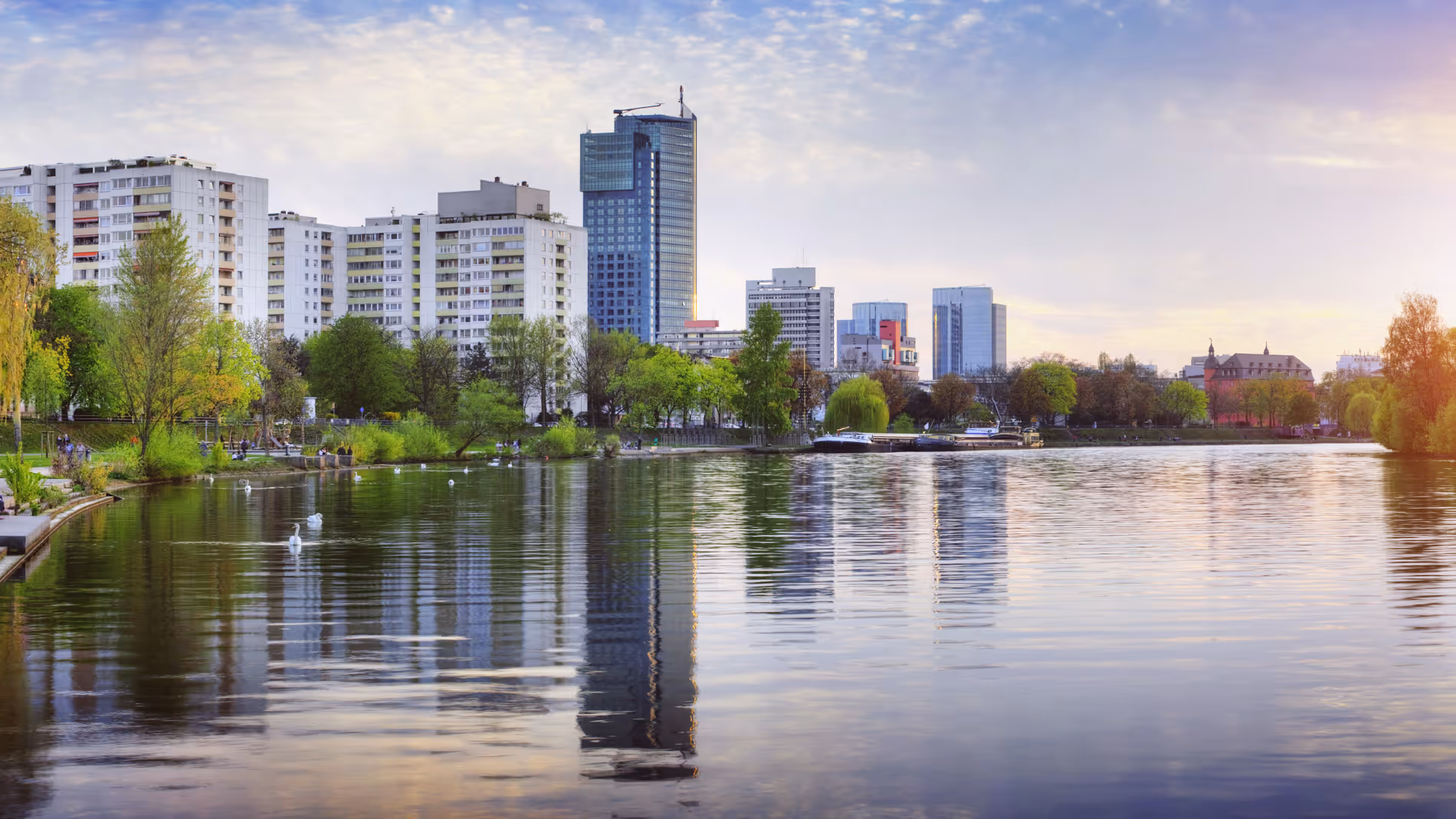 Offenbach mit hohen Gebäuden, grünen Bäumen und Schwänen auf ruhigem Fluss im Abendlicht.