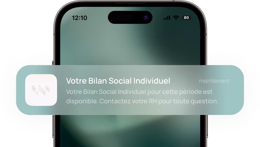 Individual dematerialised social balance sheet