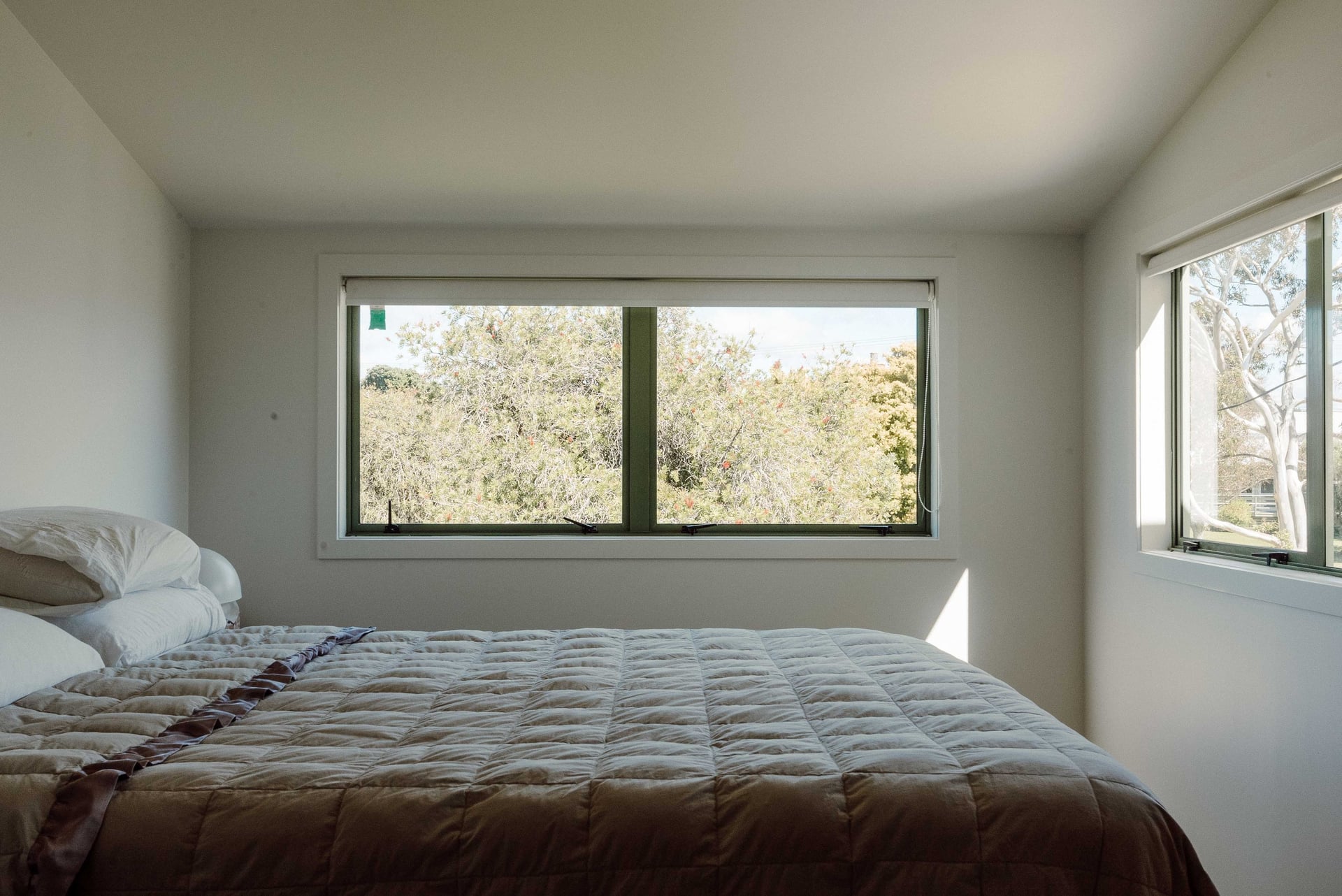 Given Avenue build by Taylor Projects, Whangamatā