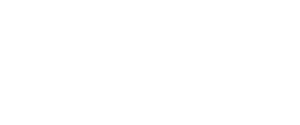 logo | Netpromotion