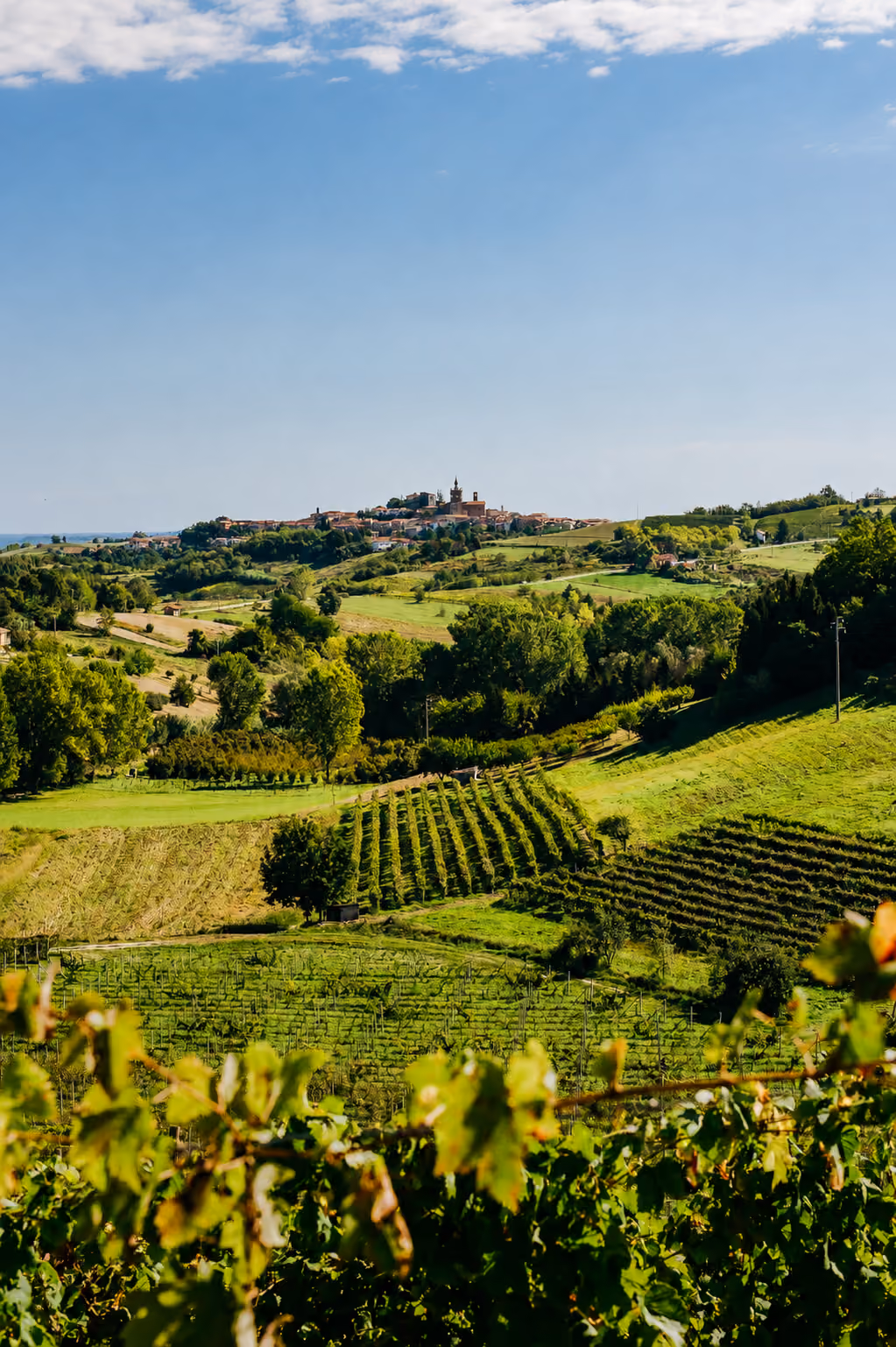 Piemont Landschaft mit Weinbergen und Dorf auf einem Hügel.