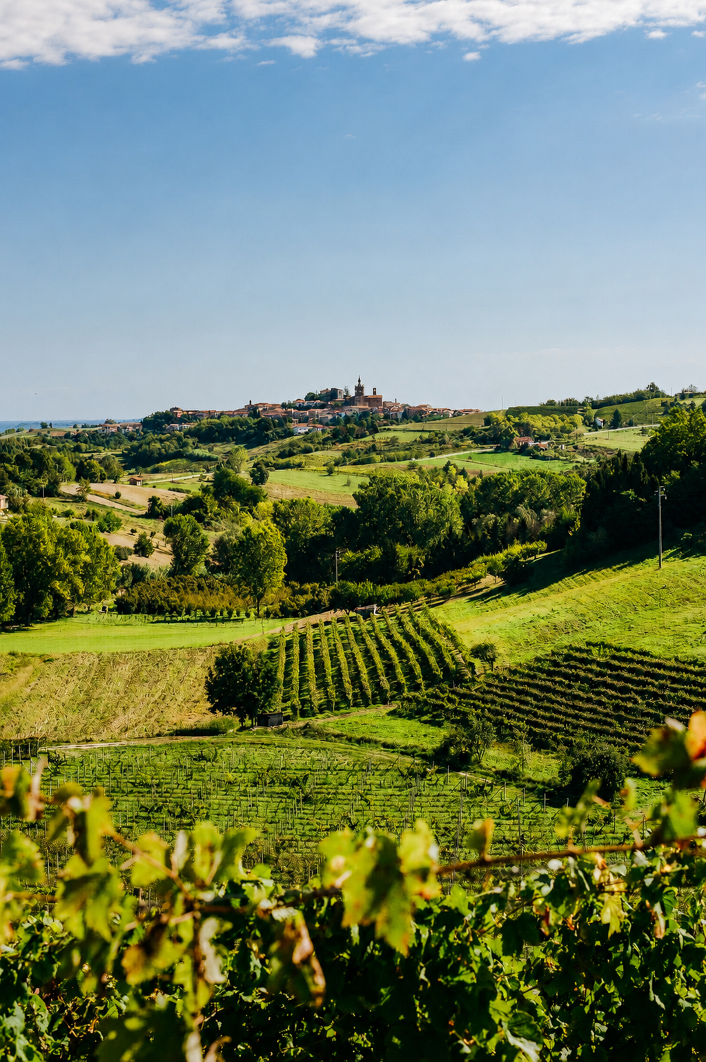 Piemont Landschaft mit Weinbergen und Dorf auf einem Hügel.