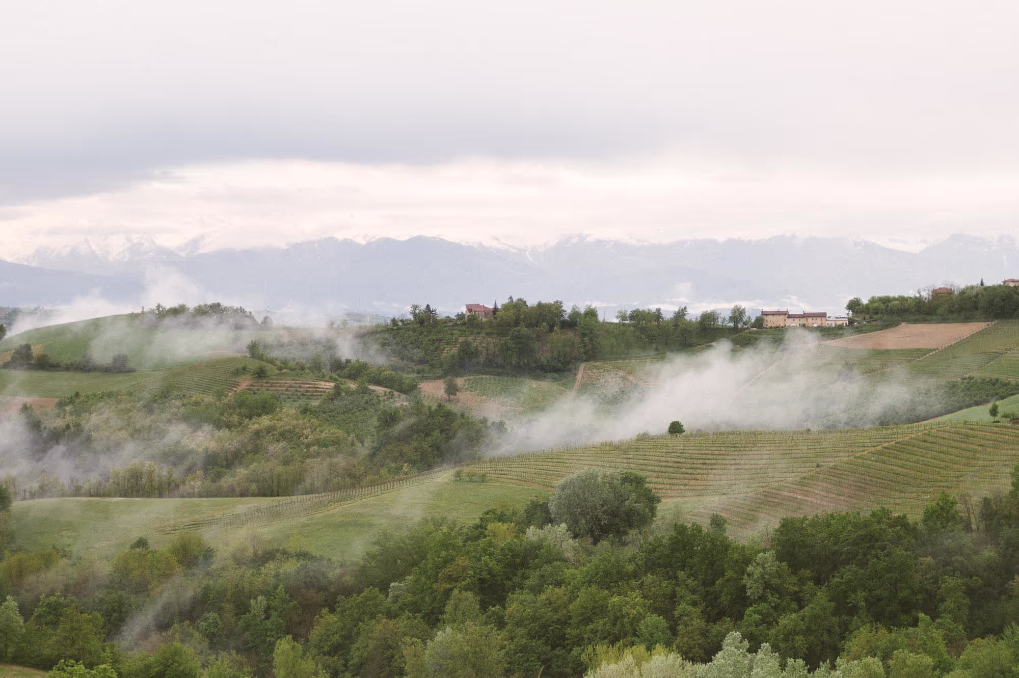 Nebelschwaden ziehen über sanfte grüne Hügel mit landwirtschaftlichen Feldern und Waldflächen, im Hintergrund sind Berge unter einem bewölkten Himmel zu sehen.