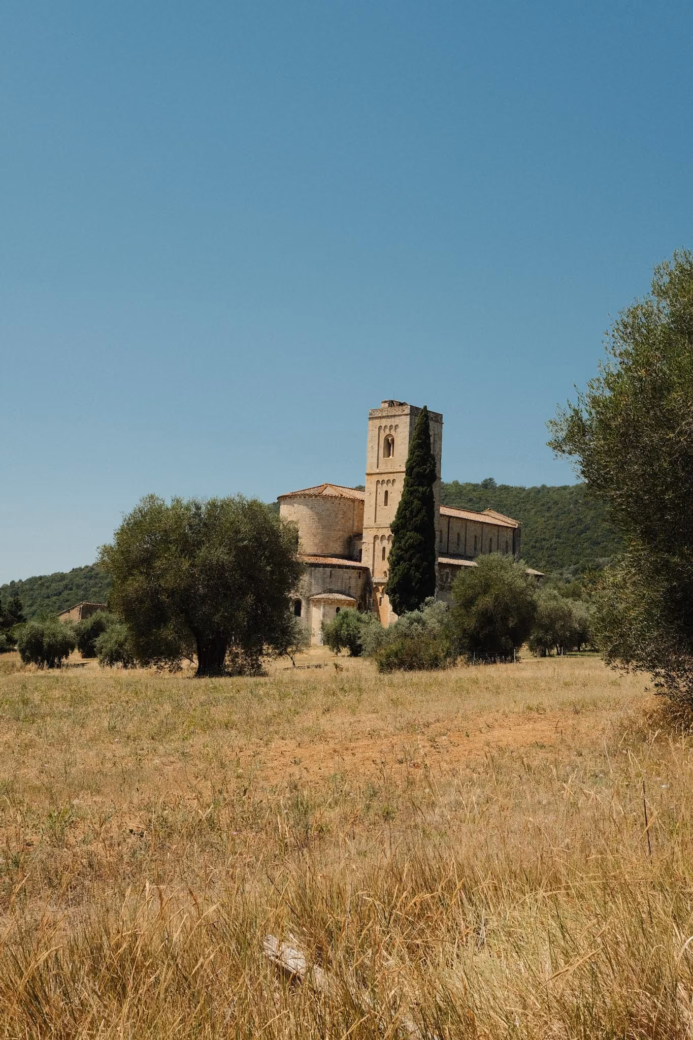 Eine historische Kirche mit einem hohen Kirchturm steht in einer offenen Landschaft mit trockenem Gras und Olivenbäumen unter klarem blauem Himmel.