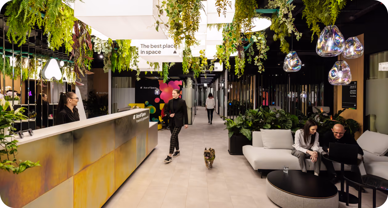 Ace Of Space - Offices