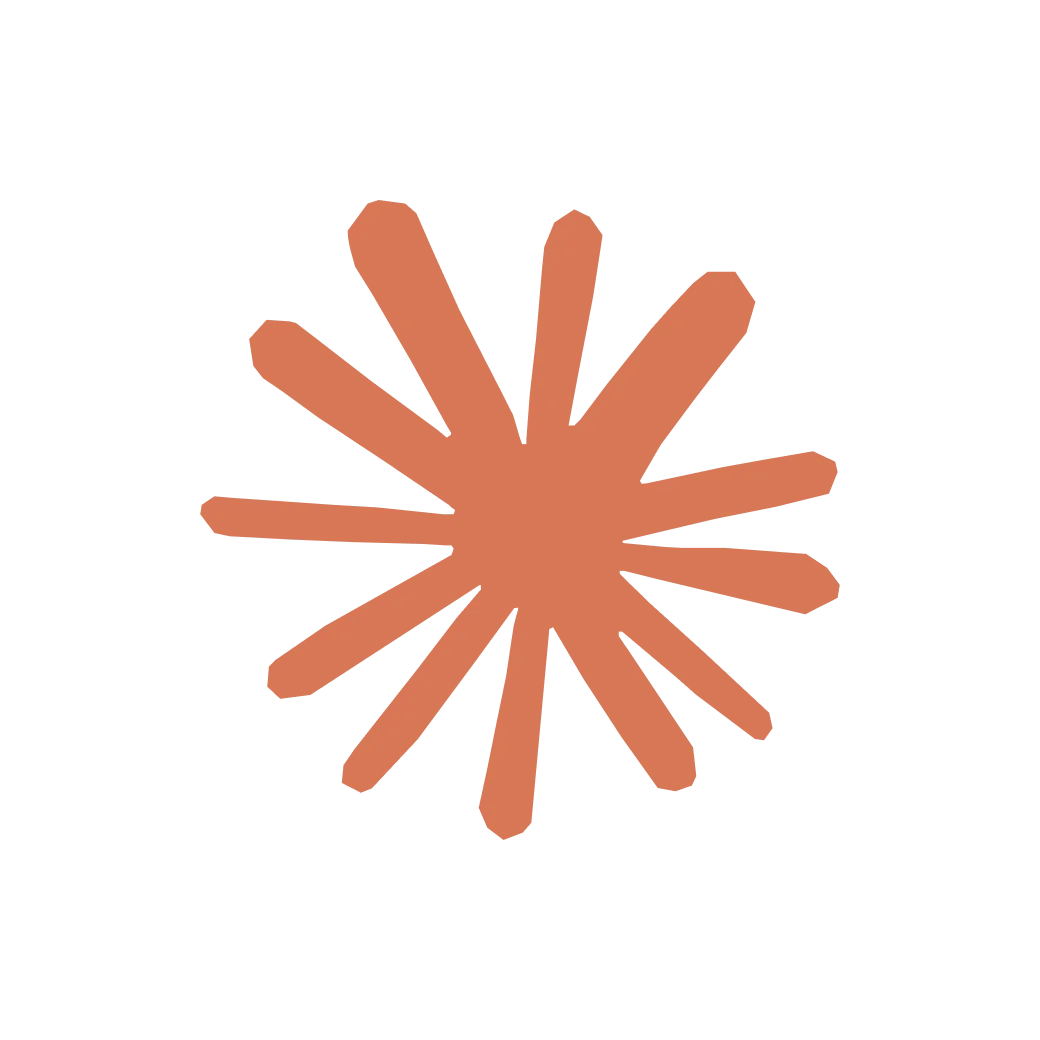 A striking white sunburst icon.
