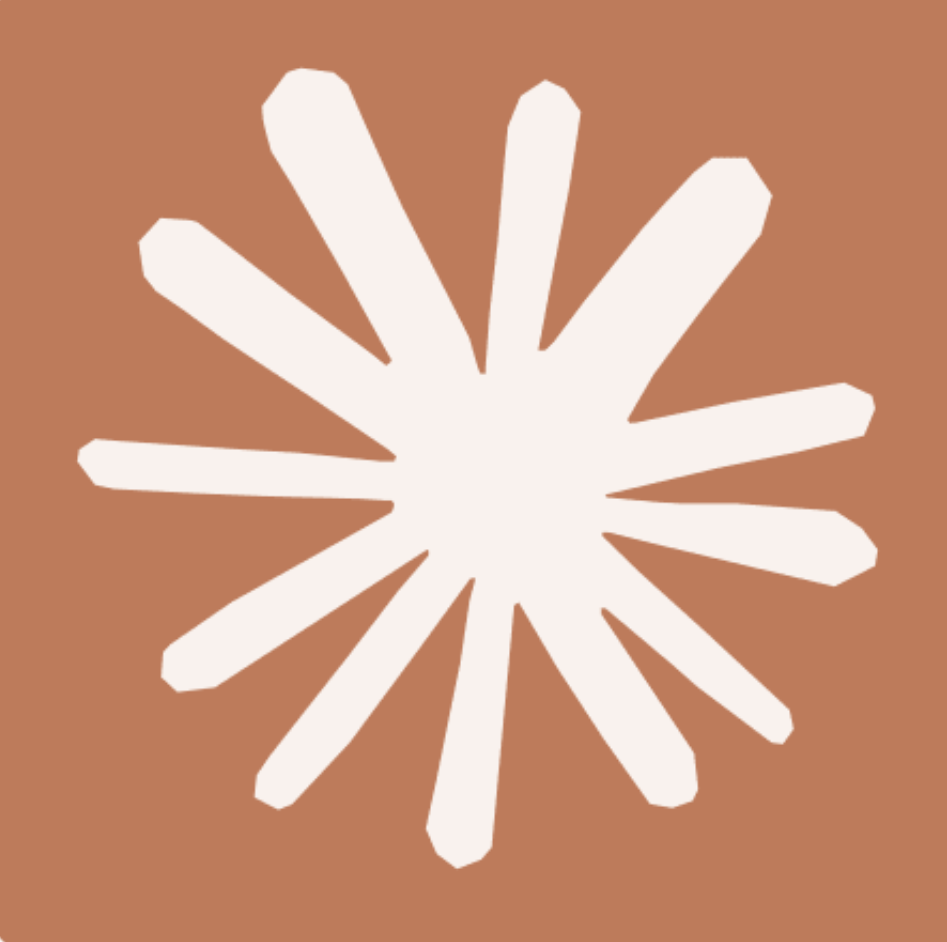 A striking white sunburst icon.