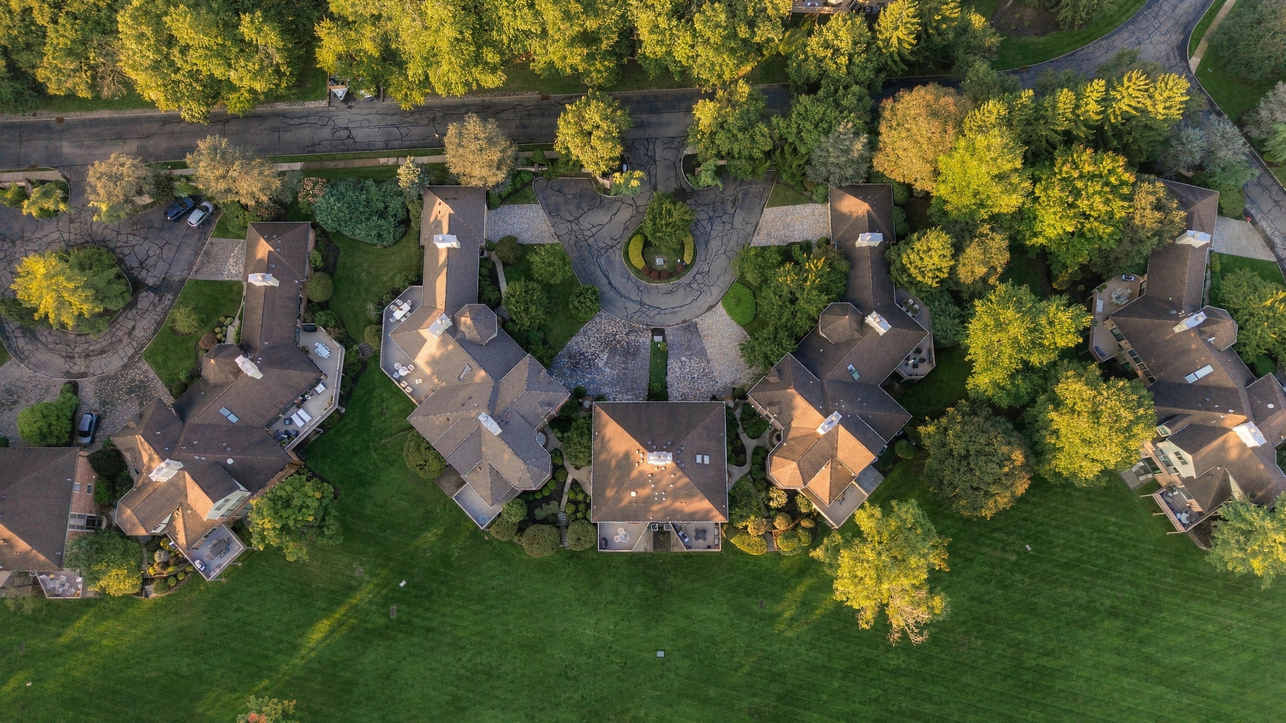 Florham Park Residence · aerial, the enclave