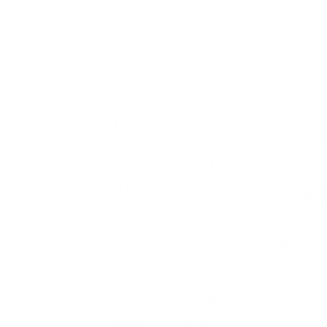 Star Level 2