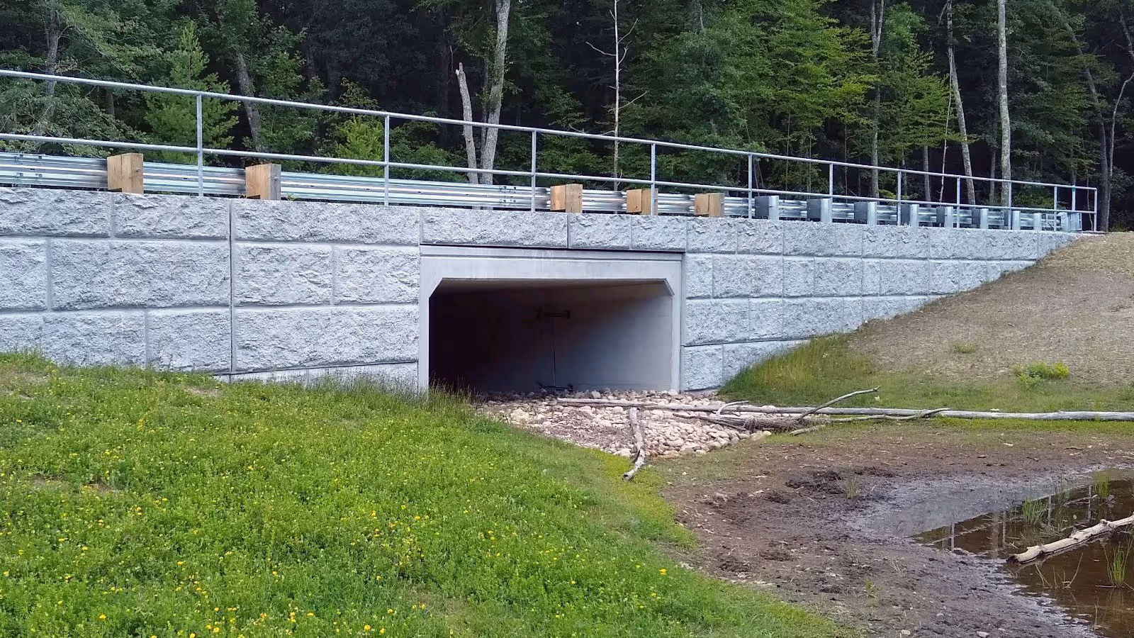 A concrete wildlife underpass runs beneath a road, surrounded by grass, trees, and a small pond.